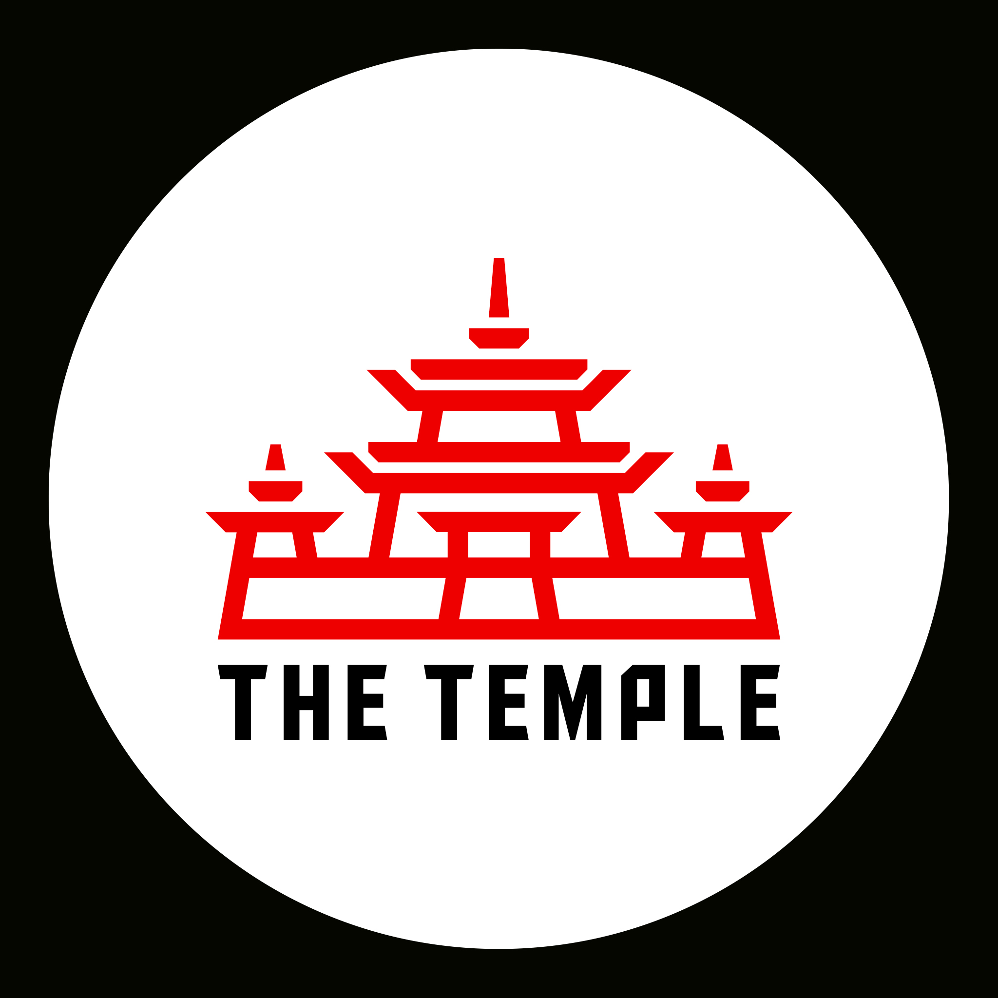 autograff-design-graphique-graphiste-toulouse-france-logo-identite-webdesign-the-temple-arts-martiaux-rouge