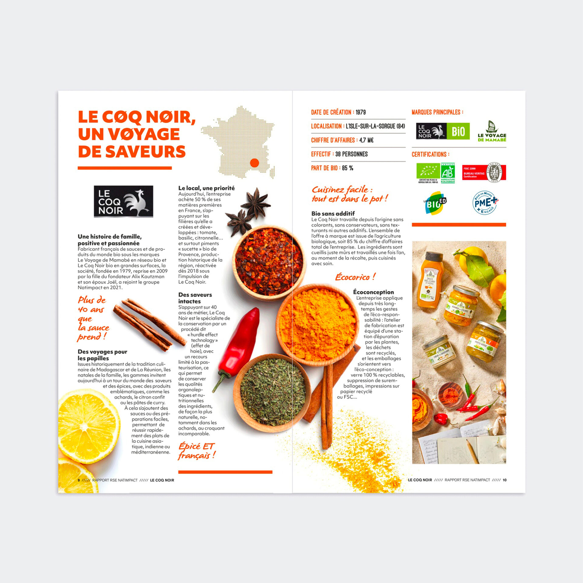 rapport d'activité RSE / DA